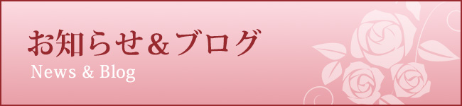 お知らせとブログ